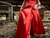 Vestido Vermelho deslumbrante - comprar online