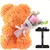 Urso Encanto Rosas