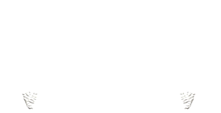 Benja Sublimaciones