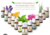 Aceites esenciales Just - comprar online