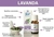 Aceite Lavanda de 10 ml