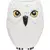Taza Hedwig