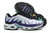 Nike Air Max TN Plus