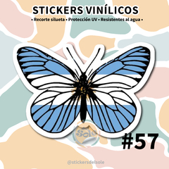 Mariposa Argentina #57