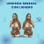 Lenceria sensual con liguero - comprar online