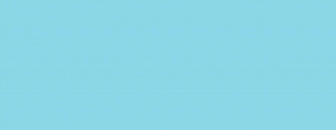 Banner de SPYCOL