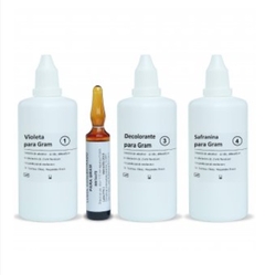Gram Britania Equipo x 100 ml - BRITANIA -B1446082