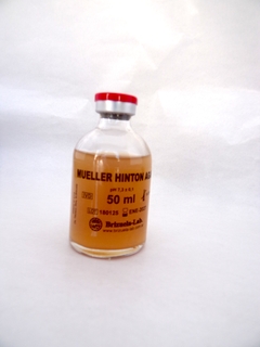 Mueller Hinton Frasco 50ml - Brizuela