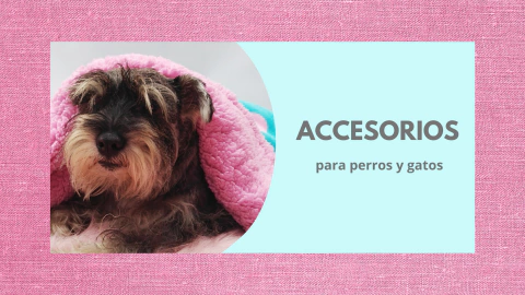 Imagen del carrusel Sol y Luna Pets