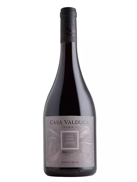 VINHO TERROIR PINOT NOIR TINTO 750ML - BRASIL