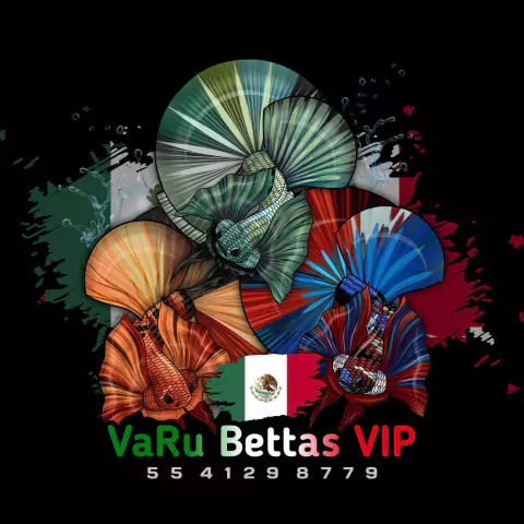 VARU BETTAS