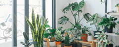 Banner de la categoría Productos