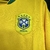 2006 - Retrô - Brasil - Titular na internet