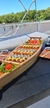 VELERO en Victoria - tienda online