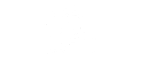 Todo Rico
