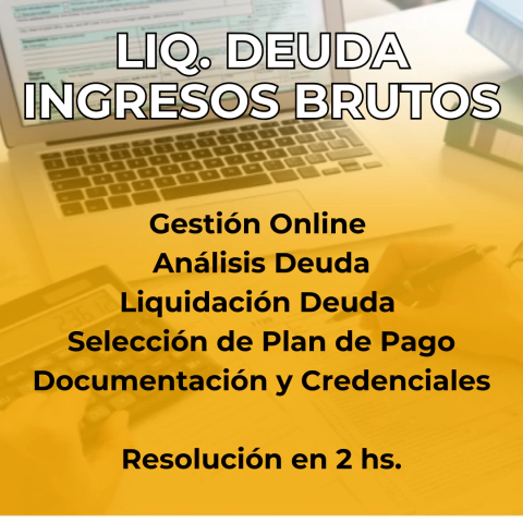 Liquidación Deuda Ingresos Brutos