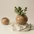 Vaso Physalis - 01 nude na internet