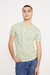 REMERA BEGONIA