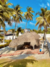 Hotel palma real Coveñas - comprar online