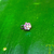 Piercing - Microdermal - Flor - Titânio