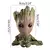 Vaso Groot