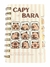 Bloquinho Espiral de Capivara - loja online