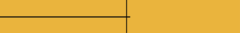 Banner da categoria Minimalista