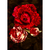 Um conjunto de quadros decorativos com fotografias de rosas vermelhas e brancas.