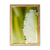 Quadro decorativo com fotografia de cacto, destacando detalhes da planta e seus espinhos.