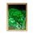 Quadro decorativo com fotografia de suculenta verde em fundo escuro.