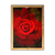 Quadro decorativo com fotografia de uma rosa vermelha em destaque.