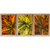 Kit de 3 quadros decorativos com fotografias de folhas de planta cróton em cores vibrantes.
