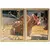Conjunto de dois quadros decorativos com imagens de jarros rústicos em um campo de grama seca.