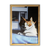 Quadro decorativo com pintura artística de um gato chamado Mimosa, destacando sua expressão única e pelagem colorida.