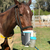 Horse Nebulizer - Simpleneb C1 - Ligth Blue on internet