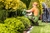 Jardinagem e Paisagismo na internet