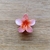 Presilha flor pequena - loja online