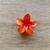 Presilha flor pequena - comprar online