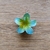 Presilha flor pequena
