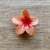 Presilha Flor Grande - A Penteadeira