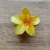 Presilha Flor Grande - loja online