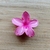 Presilha Flor Grande na internet