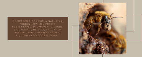 Carrossel 1