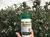 X PLENDOR 250ML
