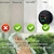 kit: Essencial - loja online
