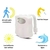 kit: Essencial - comprar online