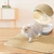 Kit: Essencial Pet - Virou Trend