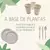 Plato biodegradable sustentable 17 cm en internet