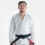 KIT KIMONO DE JIU JITSU + FAIXA BRANCA na internet