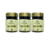 ASTRAGALUS 60 CAPS - FOLHAS E RAIZES - Qualisense